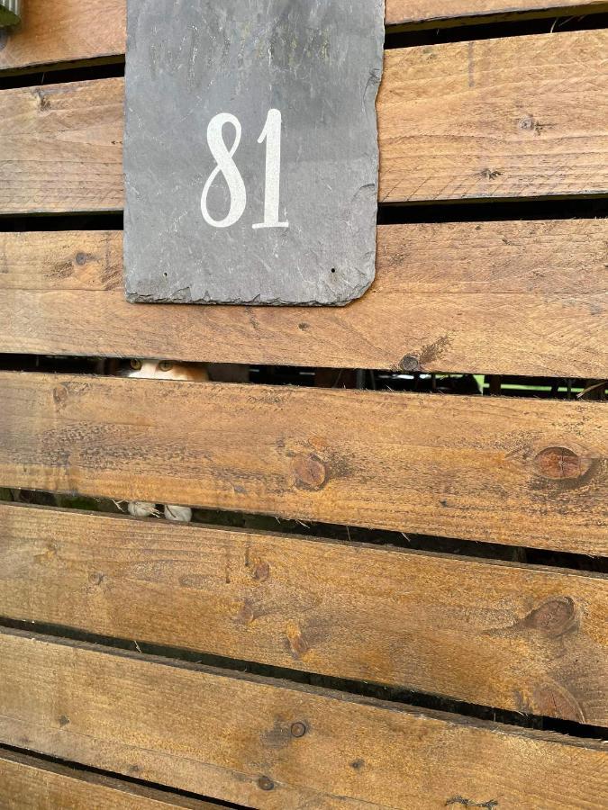 Caravan Rabbit House No 81 At Three Lochs Holiday Park 牛顿斯图尔特 外观 照片